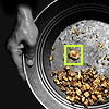 Display Ad & SEM Study from iProspect
