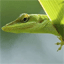 More SEO Automation Features at SEO Samba